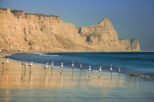 development of Canadian city Gwadar sea